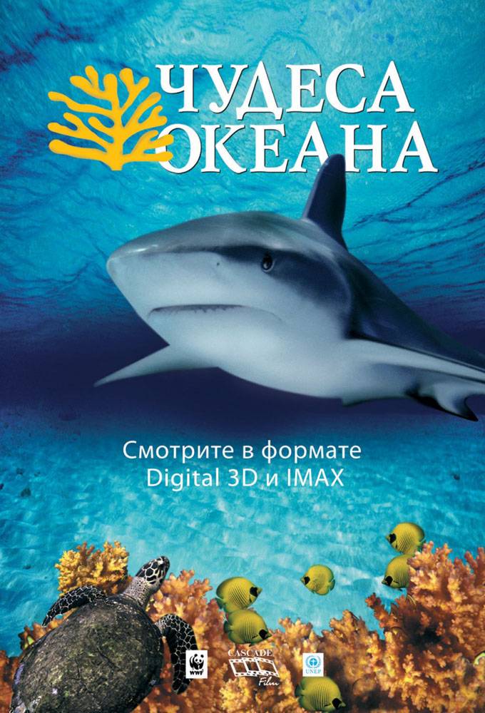 Чудеса океана 3D: постер N26319
