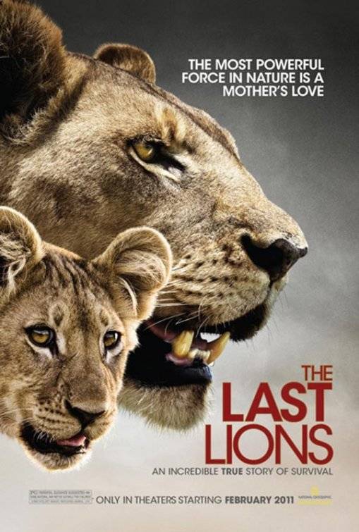 Последние львы / The Last Lions (2011) отзывы. Рецензии. Новости кино. Актеры фильма Последние львы. Отзывы о фильме Последние львы