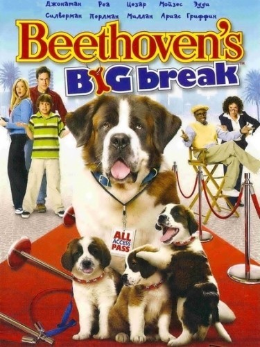 Бетховен: Большой бросок / Beethoven`s Big Break (2008) отзывы. Рецензии. Новости кино. Актеры фильма Бетховен: Большой бросок. Отзывы о фильме Бетховен: Большой бросок