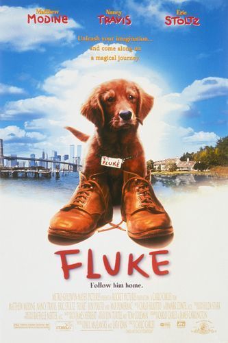 Флюк / Fluke (1995) отзывы. Рецензии. Новости кино. Актеры фильма Флюк. Отзывы о фильме Флюк