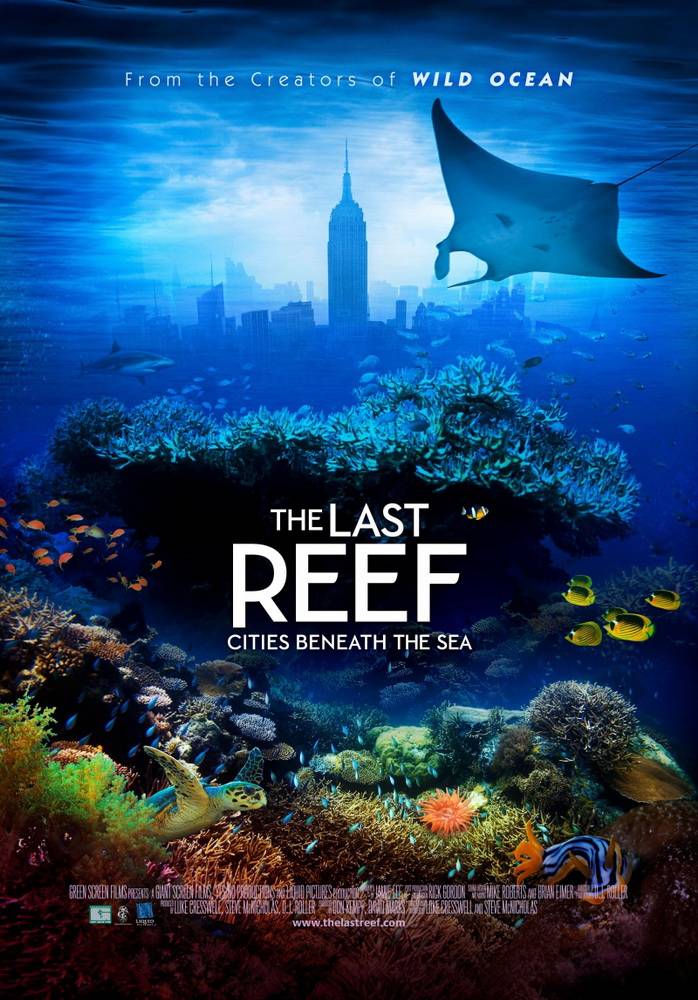 Последний риф 3D / The Last Reef 3D (2012) отзывы. Рецензии. Новости кино. Актеры фильма Последний риф 3D. Отзывы о фильме Последний риф 3D