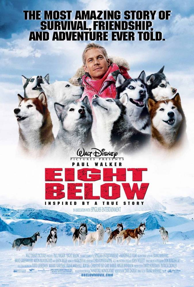 Белый плен / Eight Below (2006) отзывы. Рецензии. Новости кино. Актеры фильма Белый плен. Отзывы о фильме Белый плен