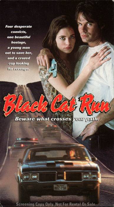 Бег черной кошки / Black Cat Run (1998) отзывы. Рецензии. Новости кино. Актеры фильма Бег черной кошки. Отзывы о фильме Бег черной кошки