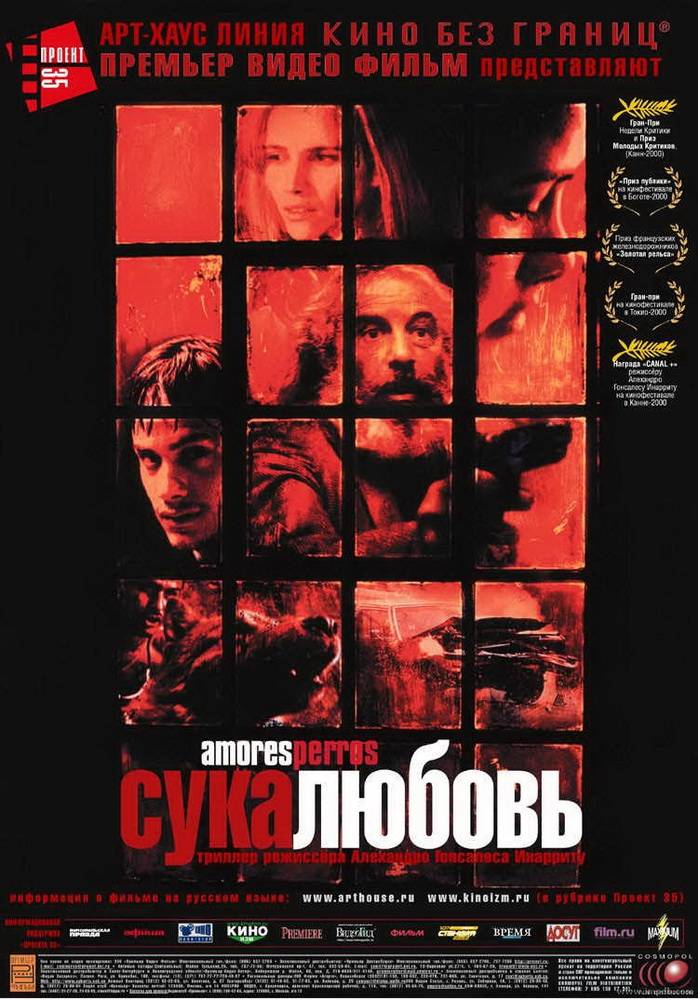 Сука любовь / Amores perros (2000) отзывы. Рецензии. Новости кино. Актеры фильма Сука любовь. Отзывы о фильме Сука любовь