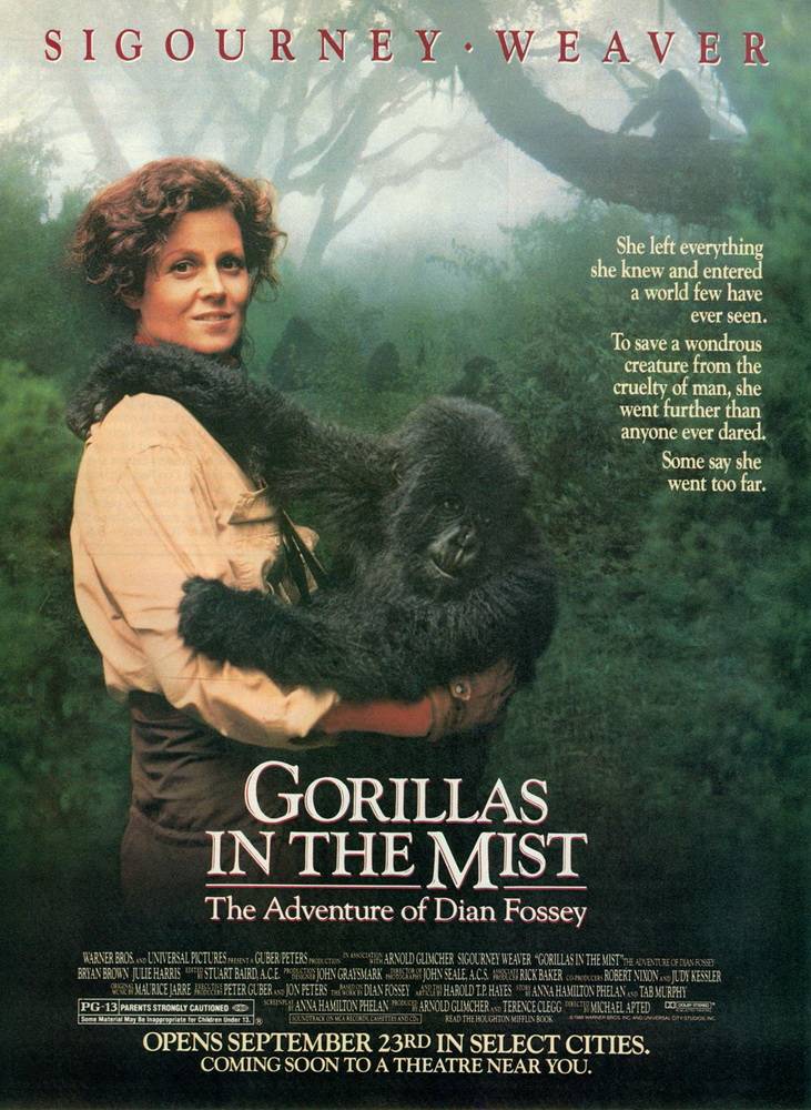 Гориллы в тумане / Gorillas in the Mist (1988) отзывы. Рецензии. Новости кино. Актеры фильма Гориллы в тумане. Отзывы о фильме Гориллы в тумане