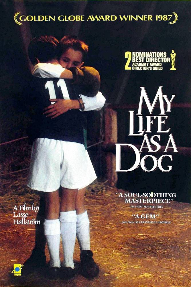 Моя собачья жизнь / My Life as a Dog (1985) отзывы. Рецензии. Новости кино. Актеры фильма Моя собачья жизнь. Отзывы о фильме Моя собачья жизнь