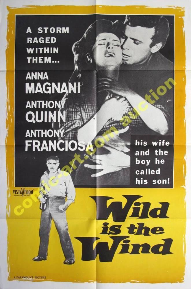 Дикий ветер / Wild Is the Wind (1957) отзывы. Рецензии. Новости кино. Актеры фильма Дикий ветер. Отзывы о фильме Дикий ветер