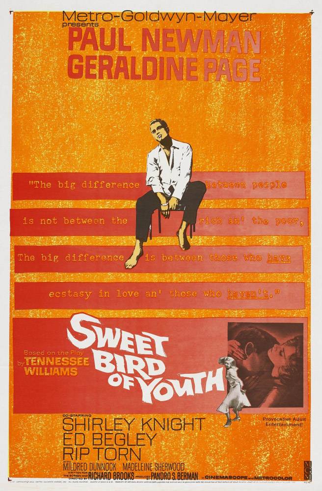 Сладкоголосая птица юности / Sweet Bird of Youth (1962) отзывы. Рецензии. Новости кино. Актеры фильма Сладкоголосая птица юности. Отзывы о фильме Сладкоголосая птица юности