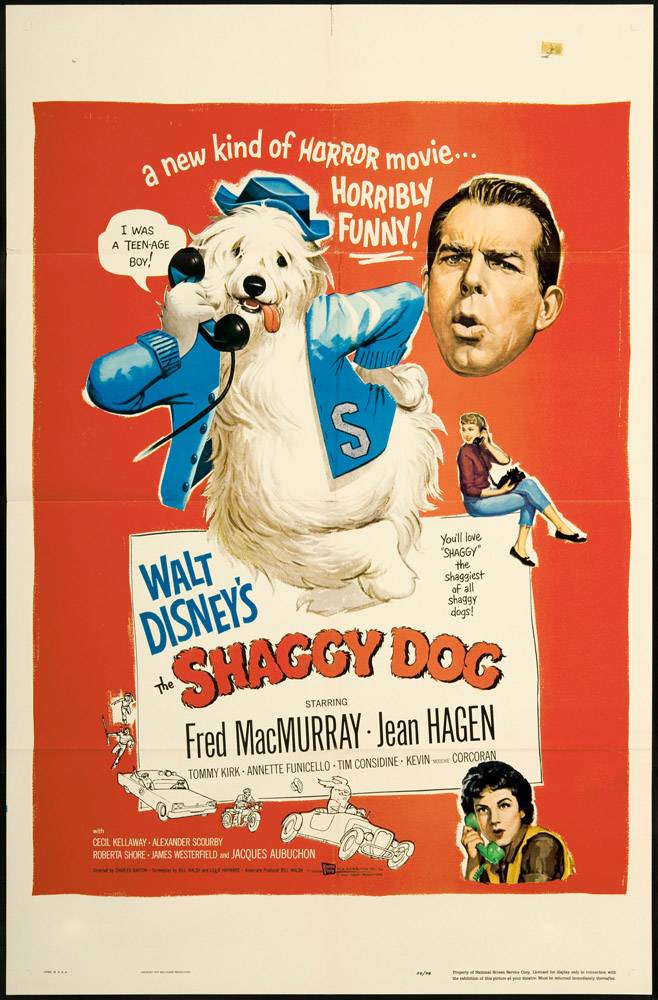 Лохматый пес / The Shaggy Dog (1994) отзывы. Рецензии. Новости кино. Актеры фильма Лохматый пес. Отзывы о фильме Лохматый пес