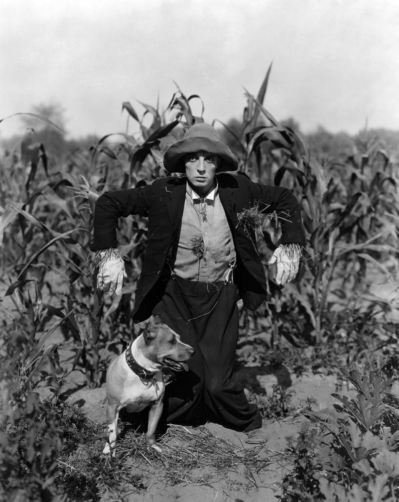 Пугало / The Scarecrow (1920) отзывы. Рецензии. Новости кино. Актеры фильма Пугало. Отзывы о фильме Пугало