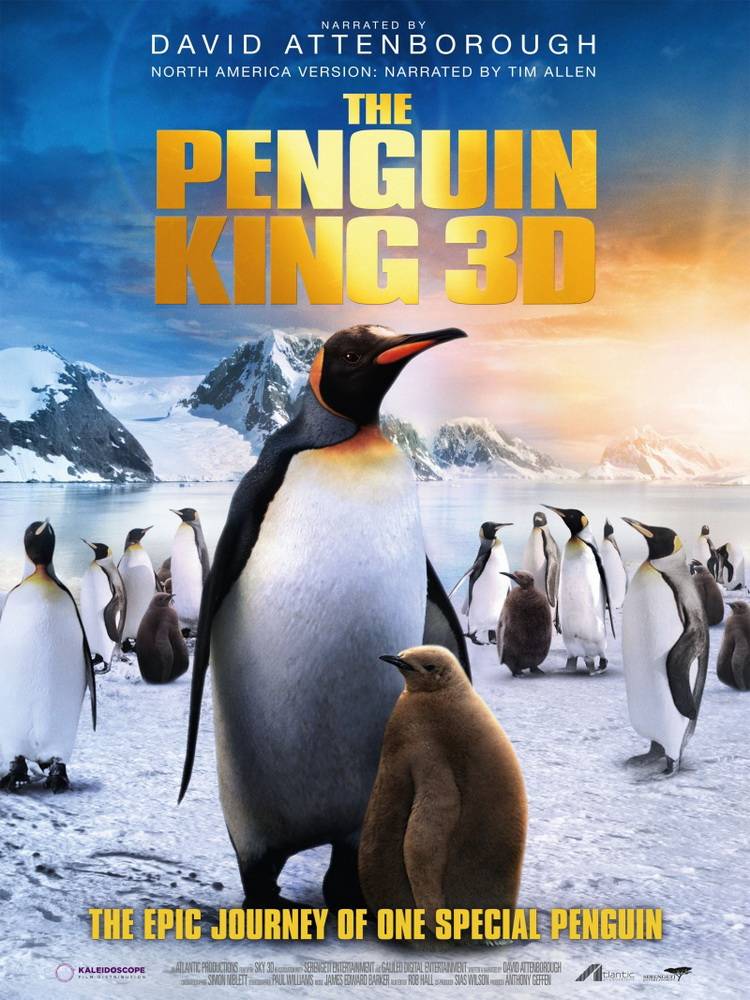 Король пингвинов / The Penguin King 3D (2012) отзывы. Рецензии. Новости кино. Актеры фильма Король пингвинов. Отзывы о фильме Король пингвинов