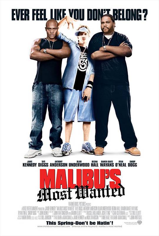 Разыскиваются в Малибу / Malibu`s Most Wanted (2003) отзывы. Рецензии. Новости кино. Актеры фильма Разыскиваются в Малибу. Отзывы о фильме Разыскиваются в Малибу