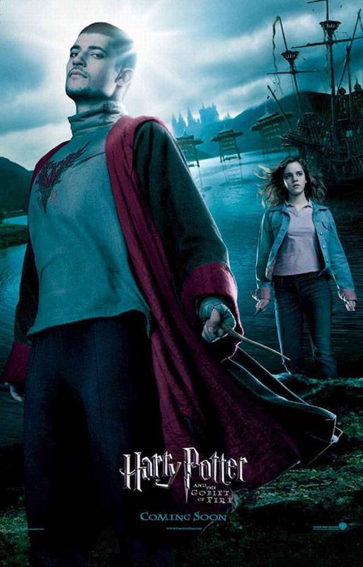 Гарри Поттер и кубок огня: постер N4819