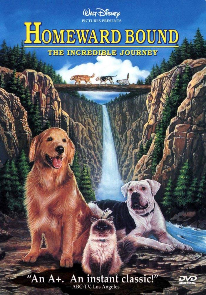 Дорога домой: Невероятное путешествие / Homeward Bound: The Incredible Journey (1993) отзывы. Рецензии. Новости кино. Актеры фильма Дорога домой: Невероятное путешествие. Отзывы о фильме Дорога домой: Невероятное путешествие