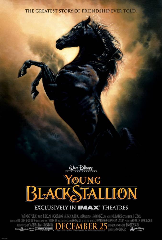 Рожденный в песках / The Young Black Stallion (2003) отзывы. Рецензии. Новости кино. Актеры фильма Рожденный в песках. Отзывы о фильме Рожденный в песках