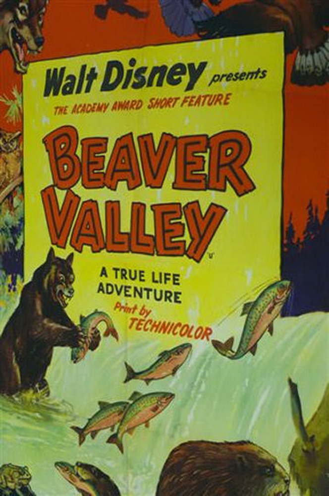 Бобровая долина / Beaver Valley (1950) отзывы. Рецензии. Новости кино. Актеры фильма Бобровая долина. Отзывы о фильме Бобровая долина