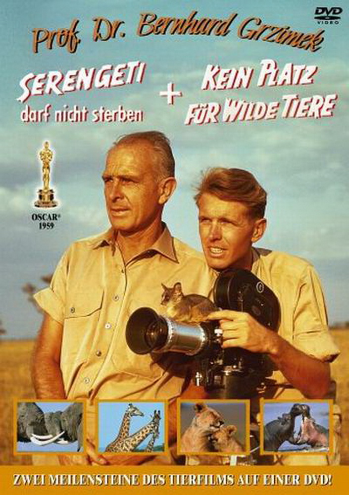 Серенгети не должен умереть / Serengeti darf nicht sterben (1959) отзывы. Рецензии. Новости кино. Актеры фильма Серенгети не должен умереть. Отзывы о фильме Серенгети не должен умереть
