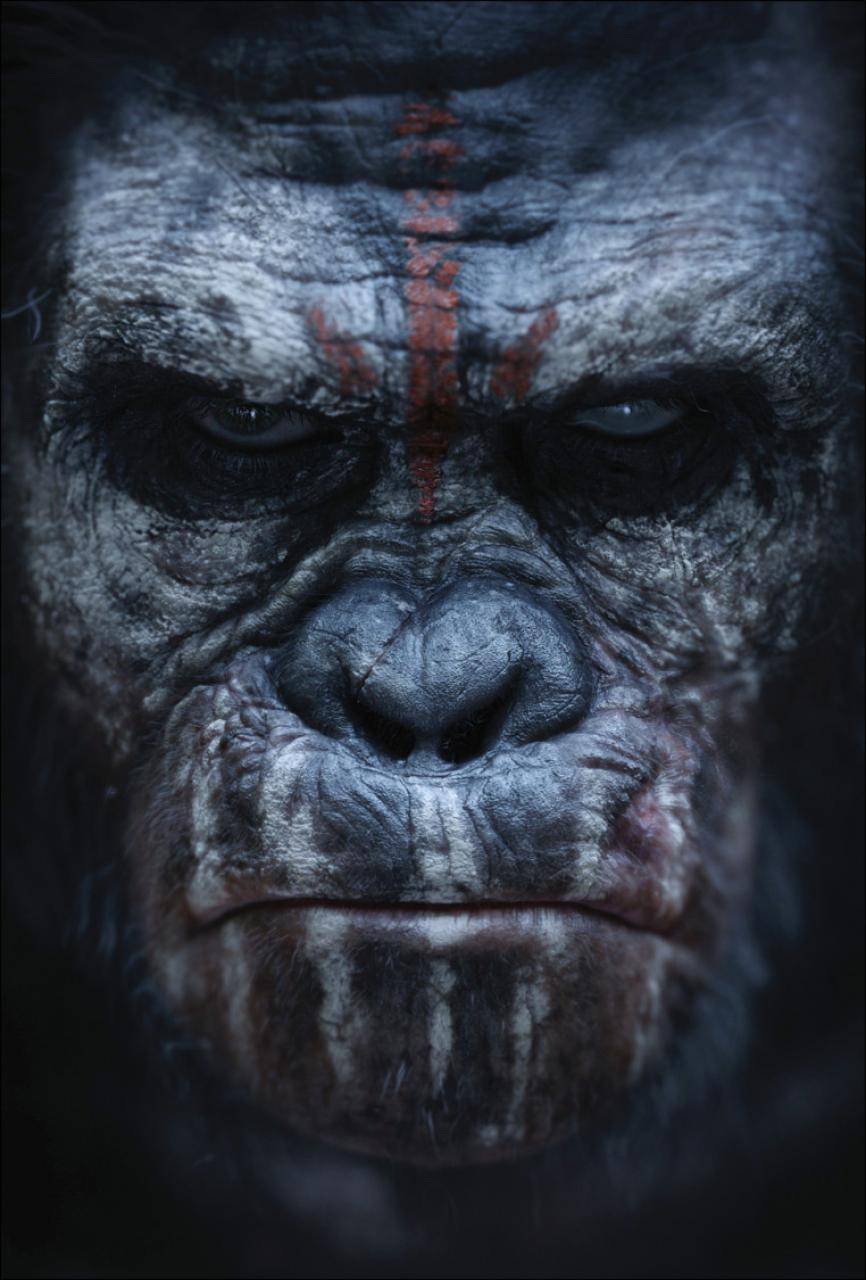 Планета обезьян: Революция: постер N76024