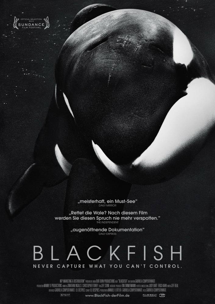 Черный плавник / Blackfish (2013) отзывы. Рецензии. Новости кино. Актеры фильма Черный плавник. Отзывы о фильме Черный плавник