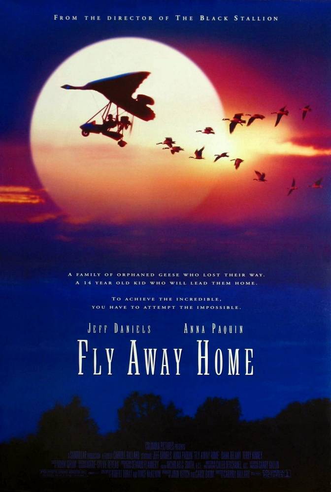 Летите домой / Fly Away Home (1996) отзывы. Рецензии. Новости кино. Актеры фильма Летите домой. Отзывы о фильме Летите домой