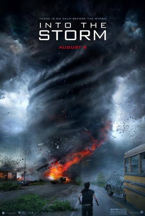 Навстречу шторму: постер N83132