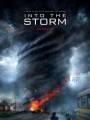 Постер к фильму "Навстречу шторму"