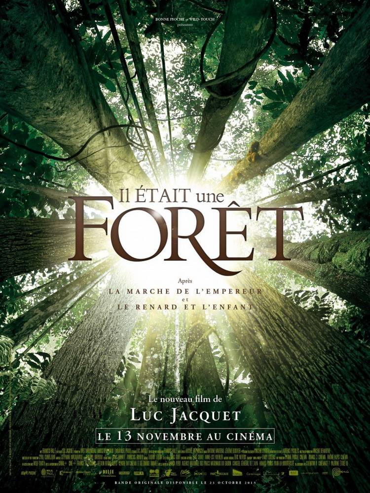 Однажды в лесу / Once in the Forest (2013) отзывы. Рецензии. Новости кино. Актеры фильма Однажды в лесу. Отзывы о фильме Однажды в лесу