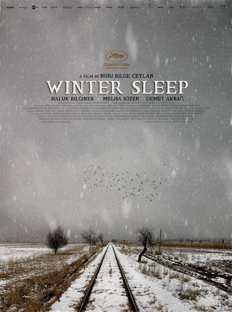 Зимняя спячка: постер N90580