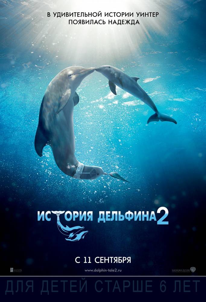 История дельфина 2: постер N92317