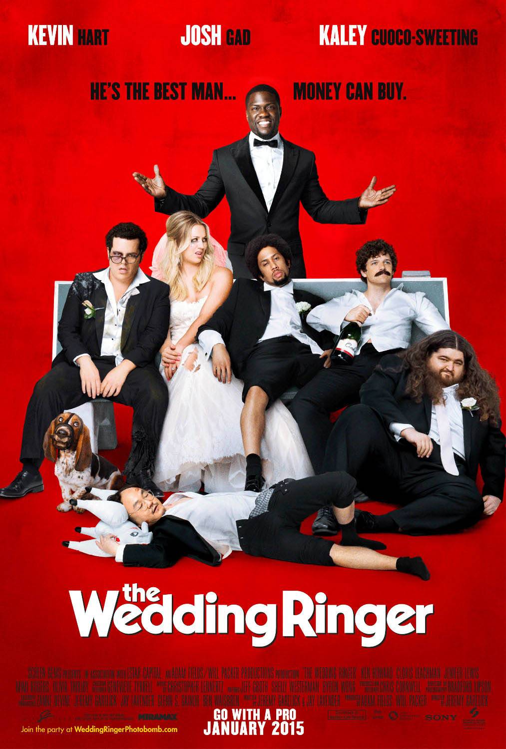 Шафер напрокат / The Wedding Ringer (2015) отзывы. Рецензии. Новости кино. Актеры фильма Шафер напрокат. Отзывы о фильме Шафер напрокат