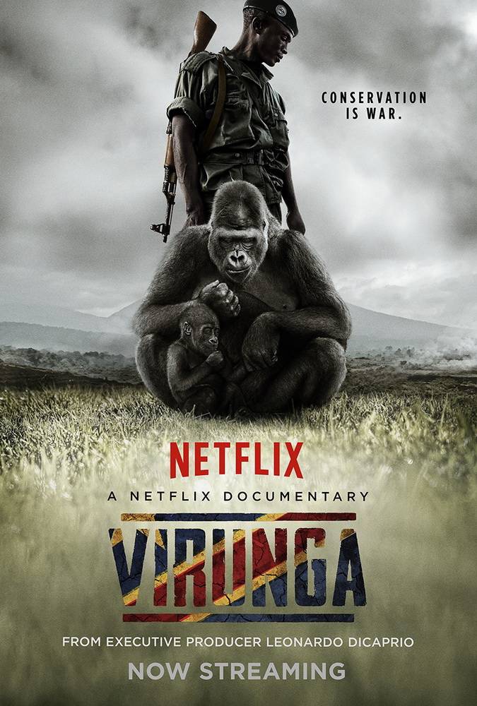 Вирунга / Virunga (2014) отзывы. Рецензии. Новости кино. Актеры фильма Вирунга. Отзывы о фильме Вирунга