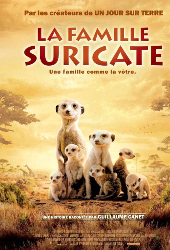 Сурикаты / The Meerkats (2008) отзывы. Рецензии. Новости кино. Актеры фильма Сурикаты. Отзывы о фильме Сурикаты