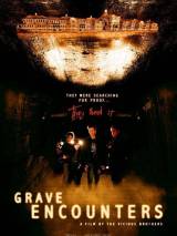 Постер к фильму "Искатели могил"