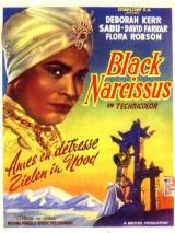 Превью постера #19007 к фильму "Черный нарцисс"  (1947)