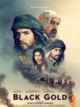 Превью постера #20637 к фильму "Черное золото" (2011)