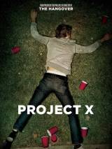Превью постера #20684 к фильму "Проект X: Дорвались" (2012)