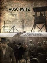 Превью постера #21283 к фильму "Освенцим" (2011)