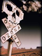 Смертельный попутчик / Outside Ozona (1998) отзывы. Рецензии. Новости кино. Актеры фильма Смертельный попутчик. Отзывы о фильме Смертельный попутчик