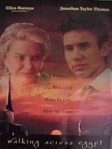 Превью постера #24966 к фильму "Прогулка по Египту" (1999)