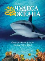 Превью постера #26319 к фильму "Чудеса океана 3D" (2003)