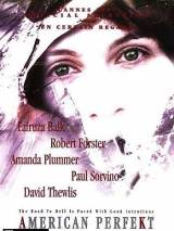 Американское совершенство / American Perfekt (1997) отзывы. Рецензии. Новости кино. Актеры фильма Американское совершенство. Отзывы о фильме Американское совершенство