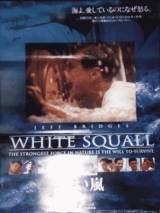 Превью постера #27844 к фильму "Белый шквал" (1996)