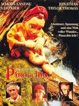 Превью постера #28098 к фильму "Приключения Пиноккио" (1996)
