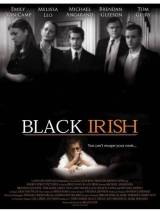Превью постера #28169 к фильму "Черный ирландец" (2007)
