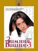 Превью постера #29427 к фильму "Зимняя вишня 3" (1995)