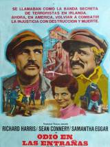 Превью постера #30102 к фильму "Молли Макгвайерс" (1970)