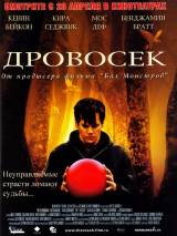 Превью постера #32931 к фильму "Дровосек" (2004)