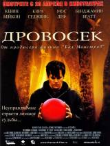 Превью постера #32931 к фильму "Дровосек" (2004)