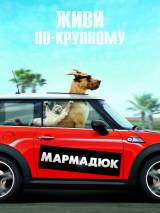 Превью постера #38454 к фильму "Мармадюк"  (2010)