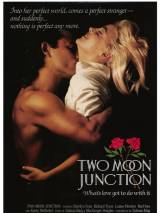 Превью постера #41057 к фильму "Слияние двух лун" (1988)